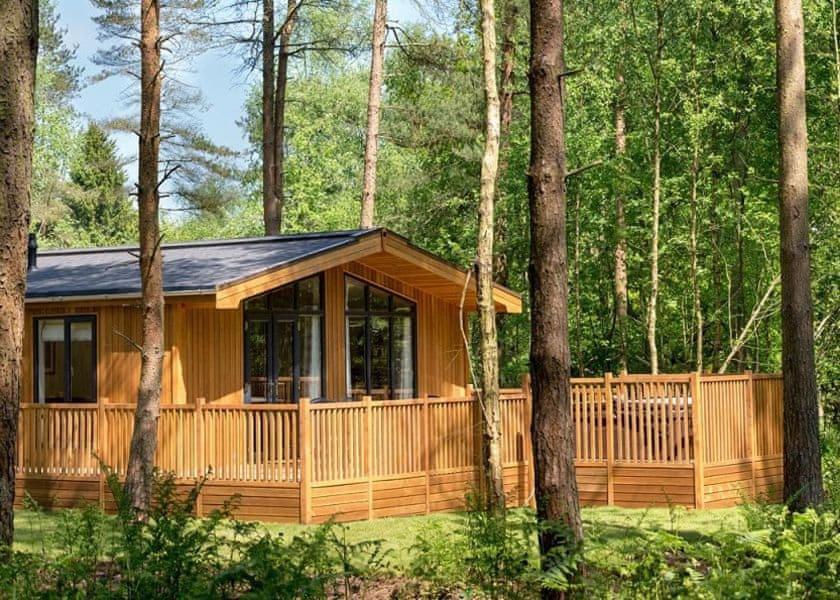 Landal Darwin Forest Great Rowsley Room photo