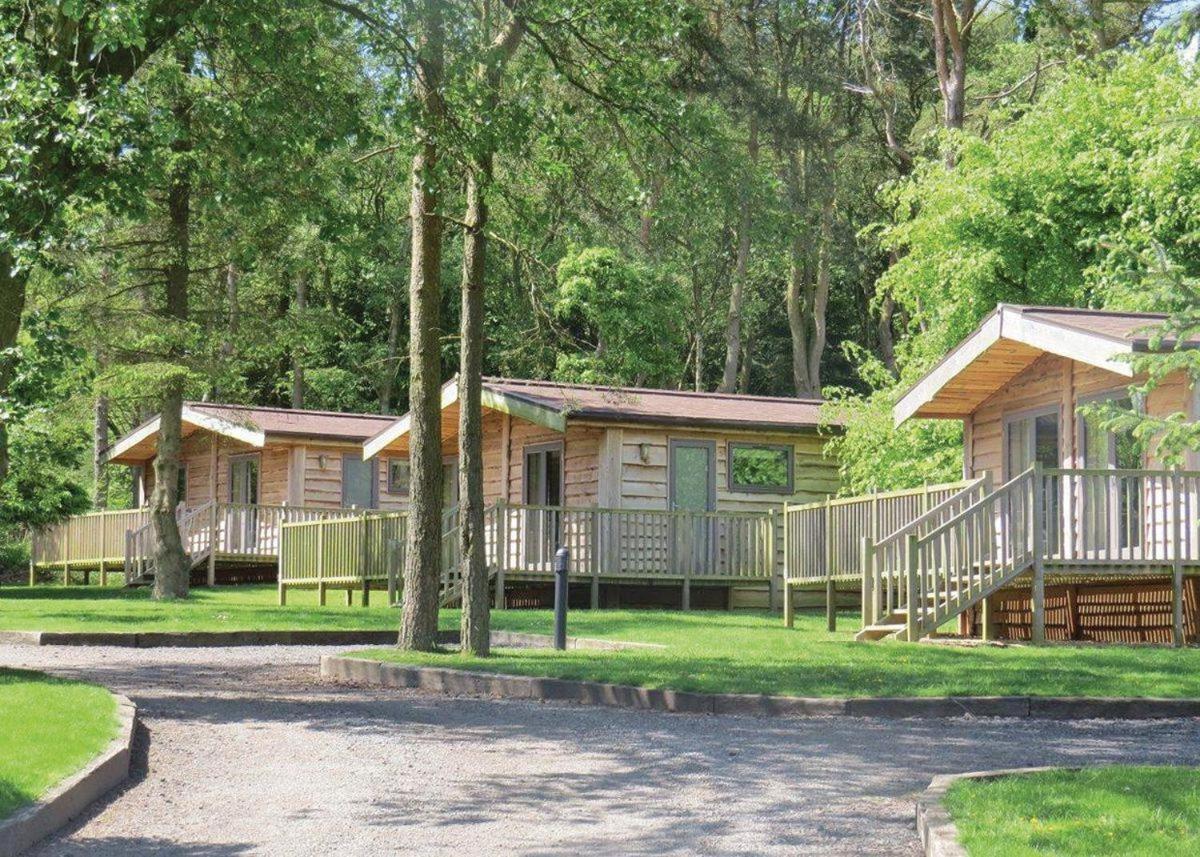 Landal Darwin Forest Great Rowsley Room photo